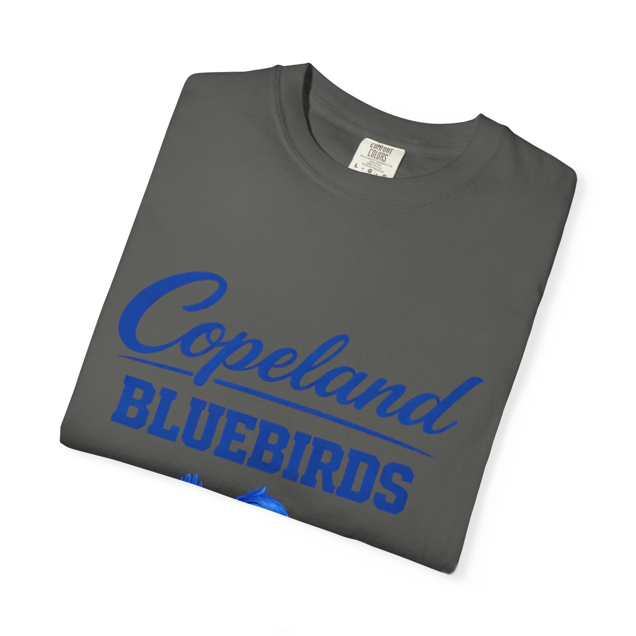 Copeland Bluebirds T-Shirt — Youth Team Mascot Tee