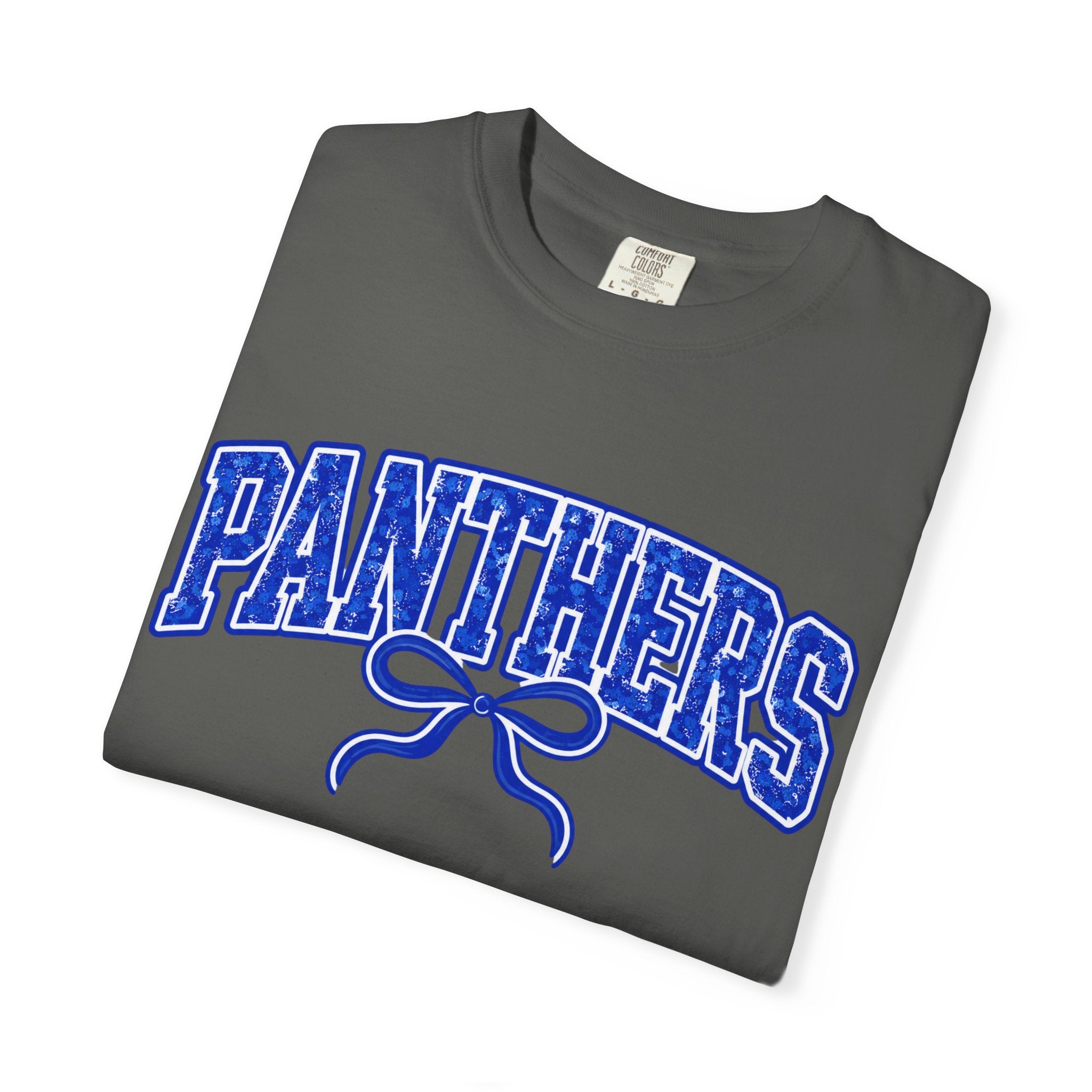 Panthers Graphic T-Shirt — Vintage Bow College Tee