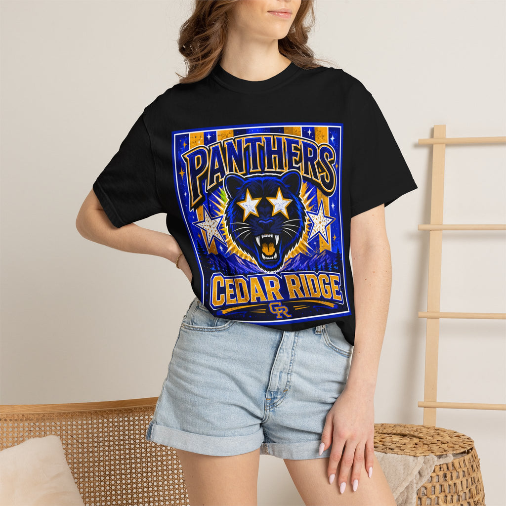 Panthers Cedar Ridge Graphic T-Shirt