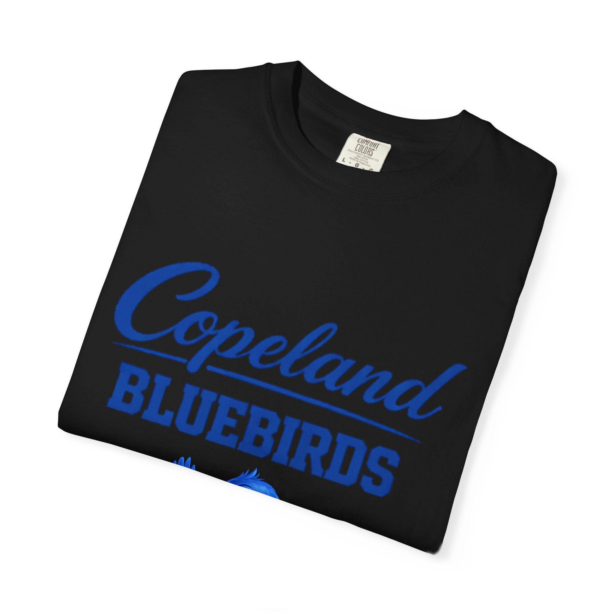 Copeland Bluebirds T-Shirt — Youth Team Mascot Tee