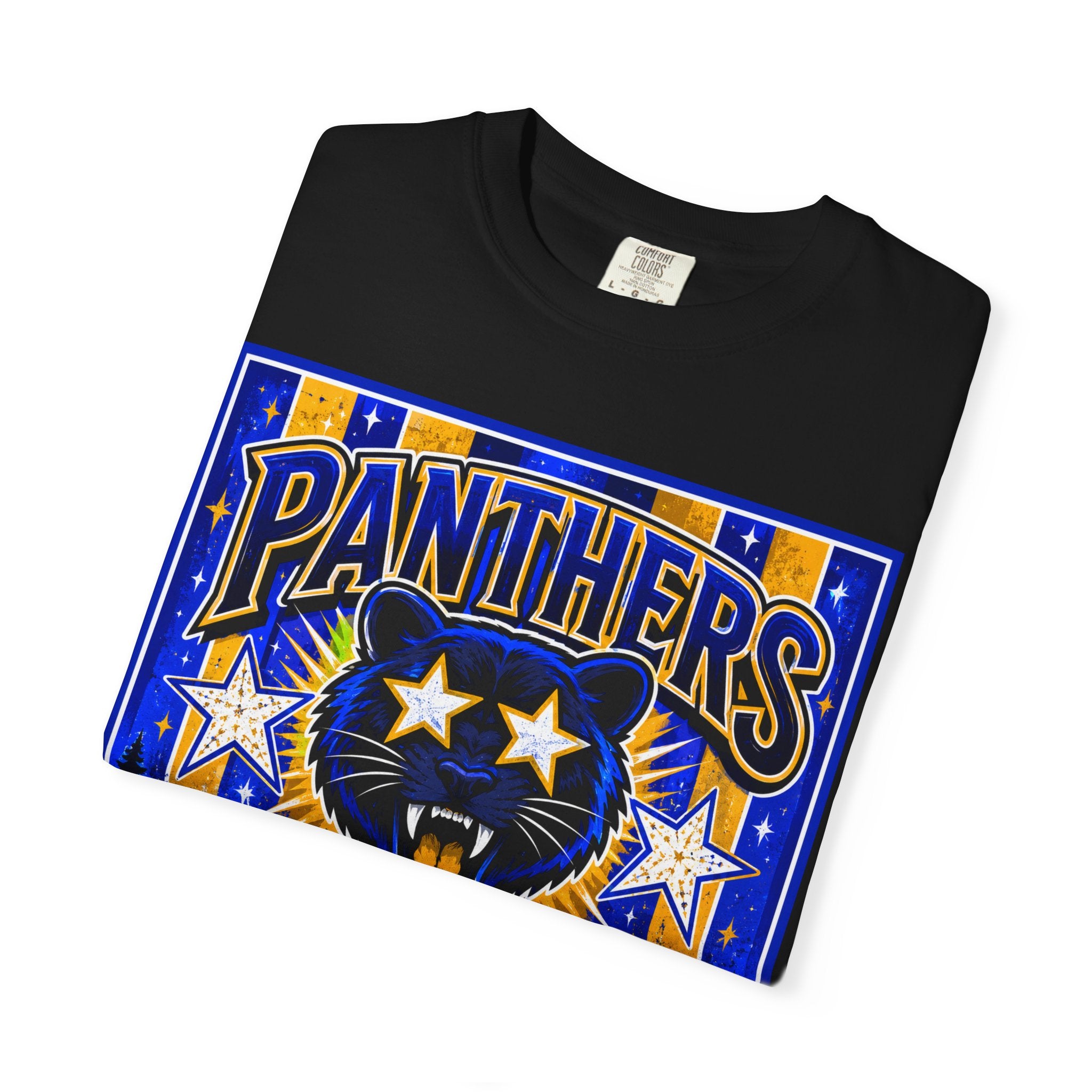 Panthers Cedar Ridge Graphic T-Shirt