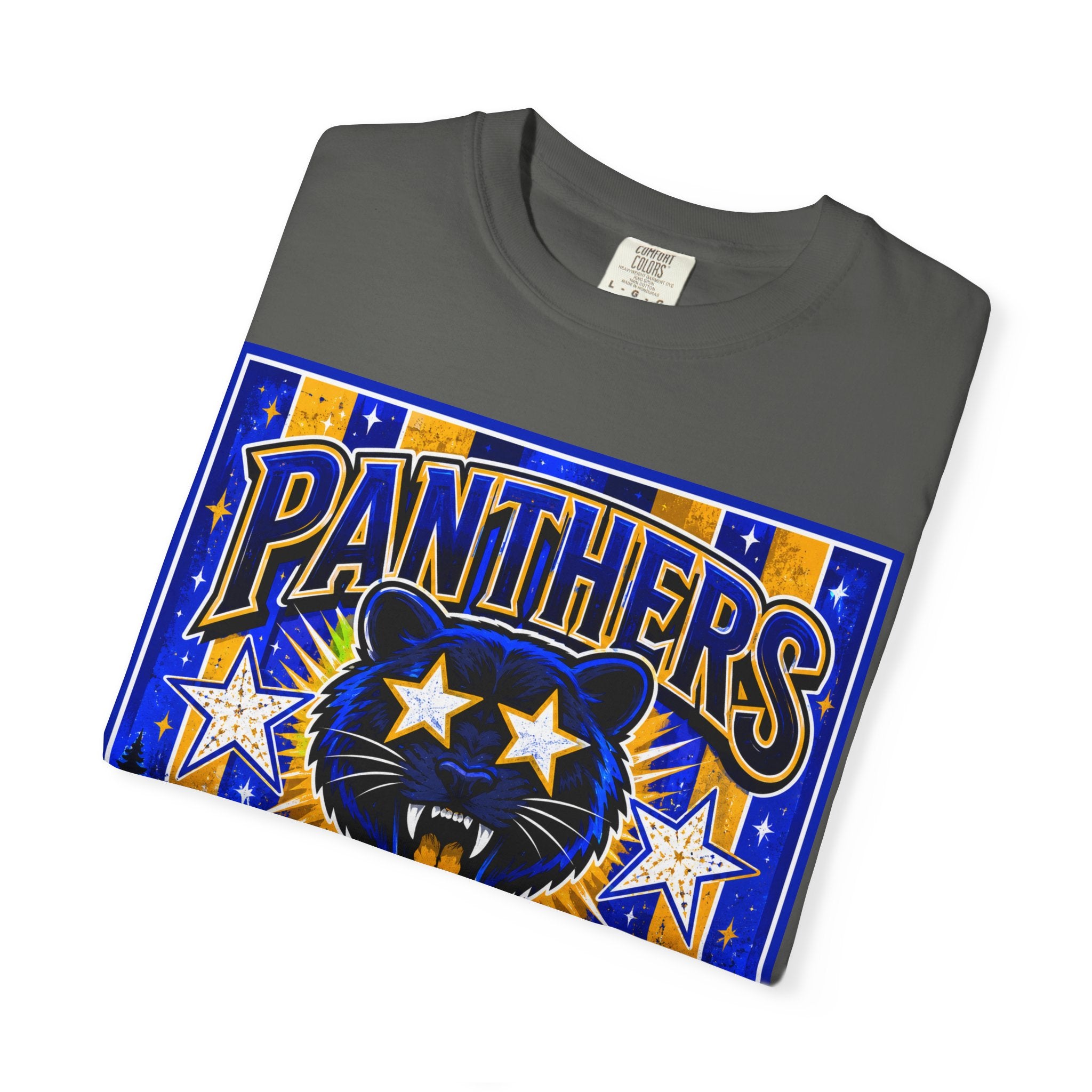 Panthers Cedar Ridge Graphic T-Shirt