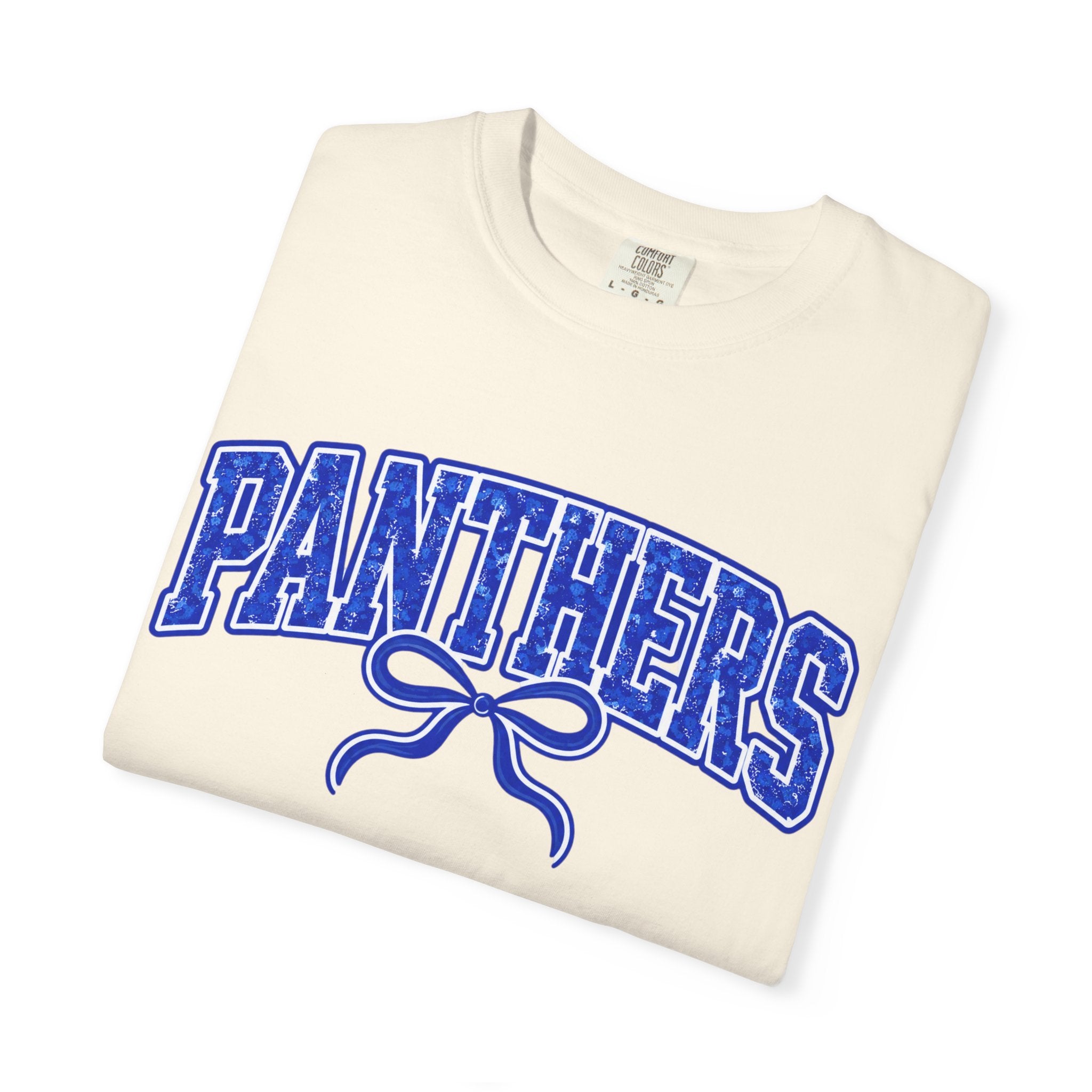 Panthers Graphic T-Shirt — Vintage Bow College Tee