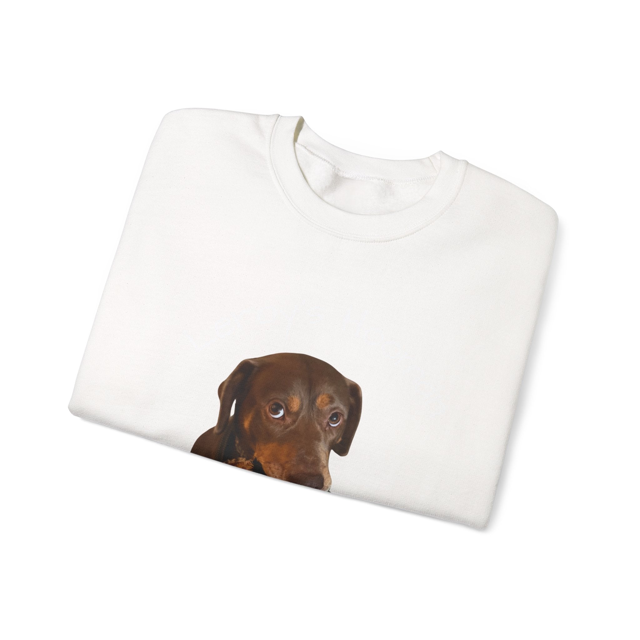 Crewneck Sweatshirt – "Leroy’s Human" Dachshund Graphic, Cute Pet Lover Gift