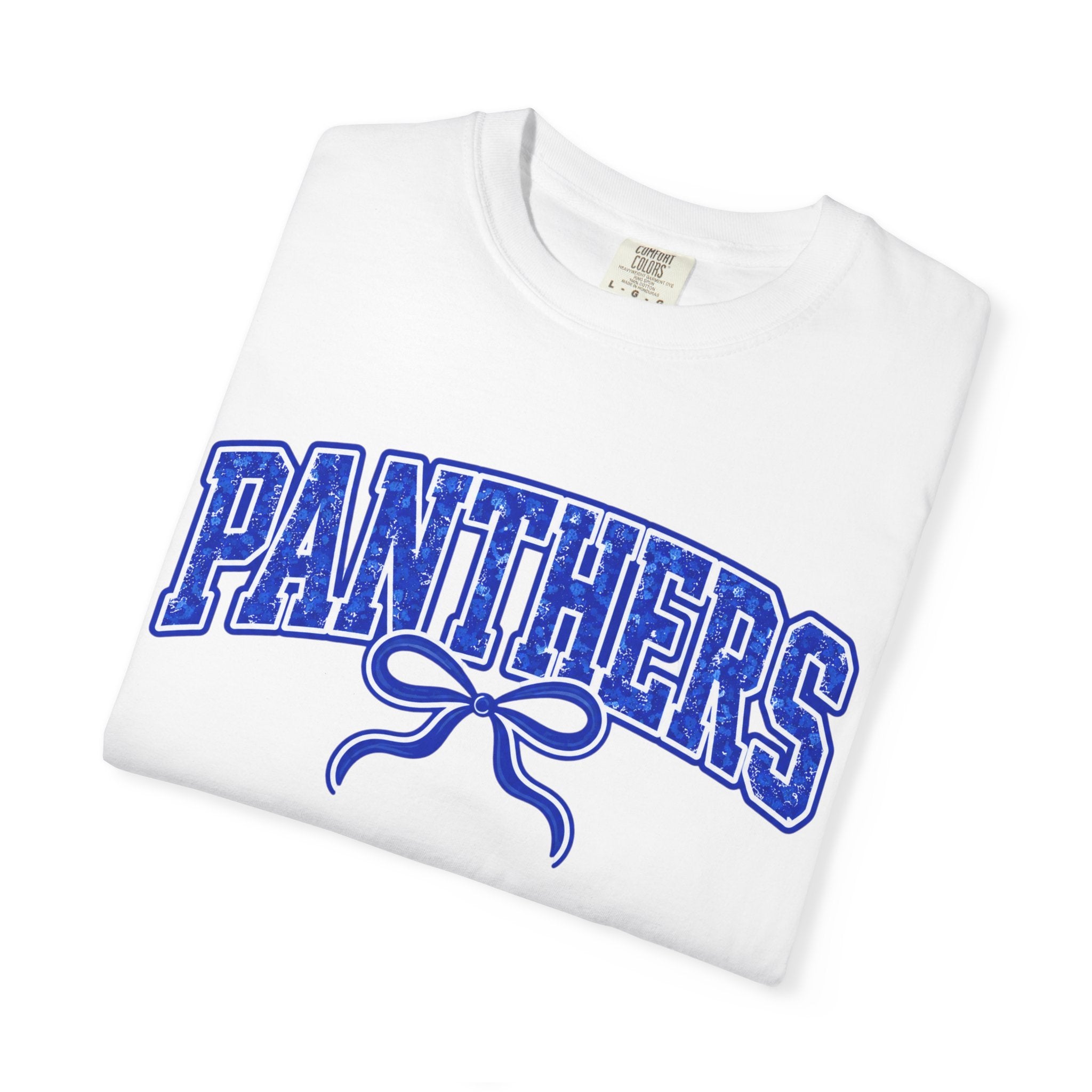 Panthers Graphic T-Shirt — Vintage Bow College Tee