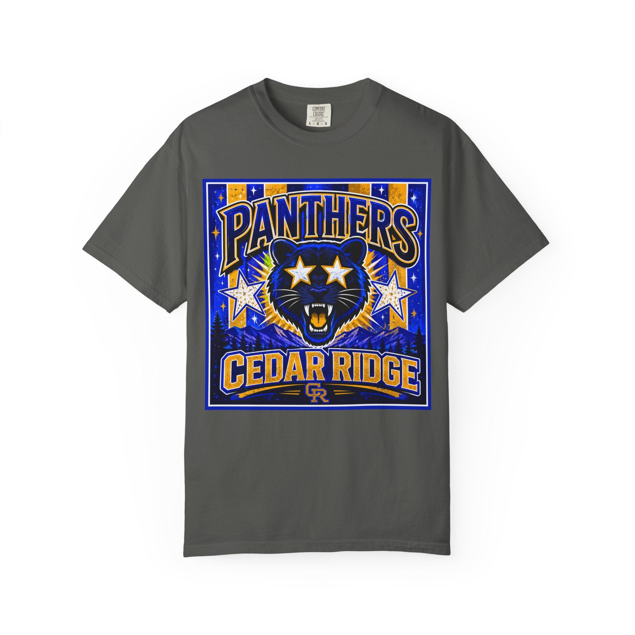Panthers Cedar Ridge Graphic T-Shirt