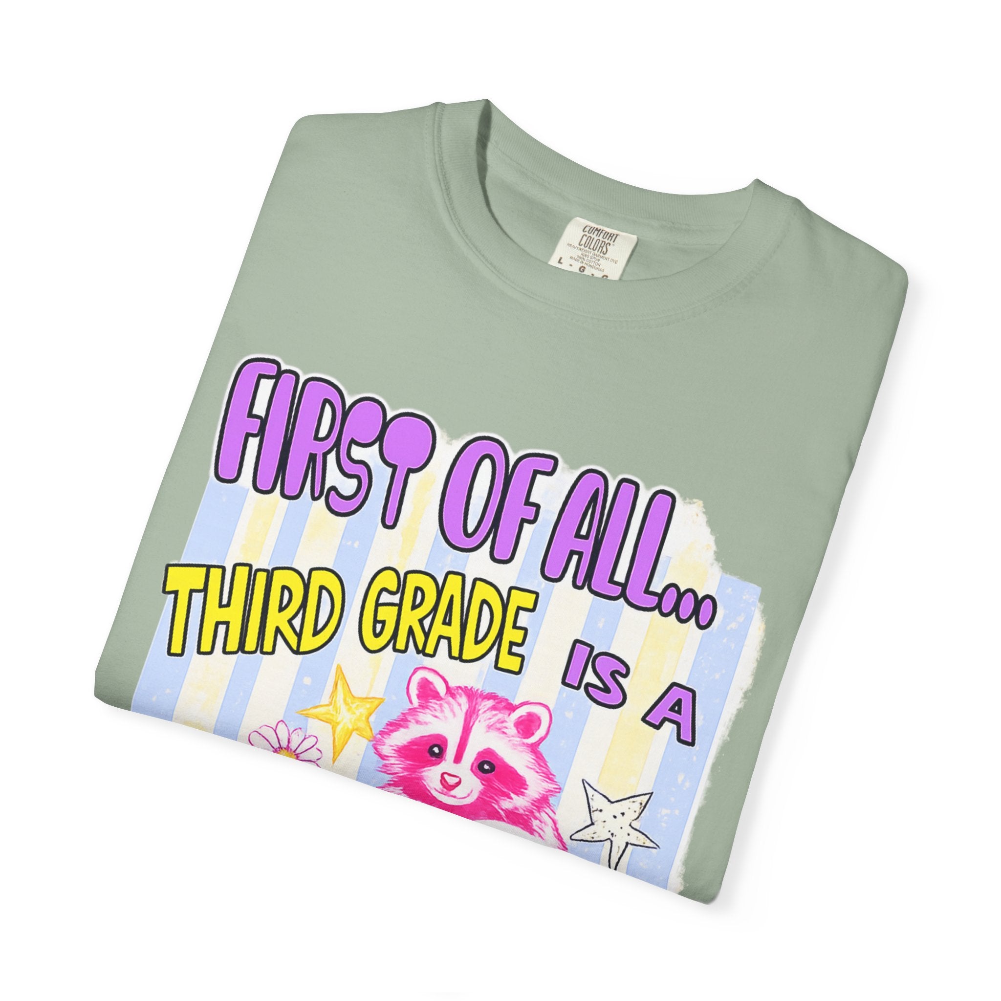 Third Grade Is a Whole Vibe T-Shirt — Cute Pink Raccoon Back-to-School Tee