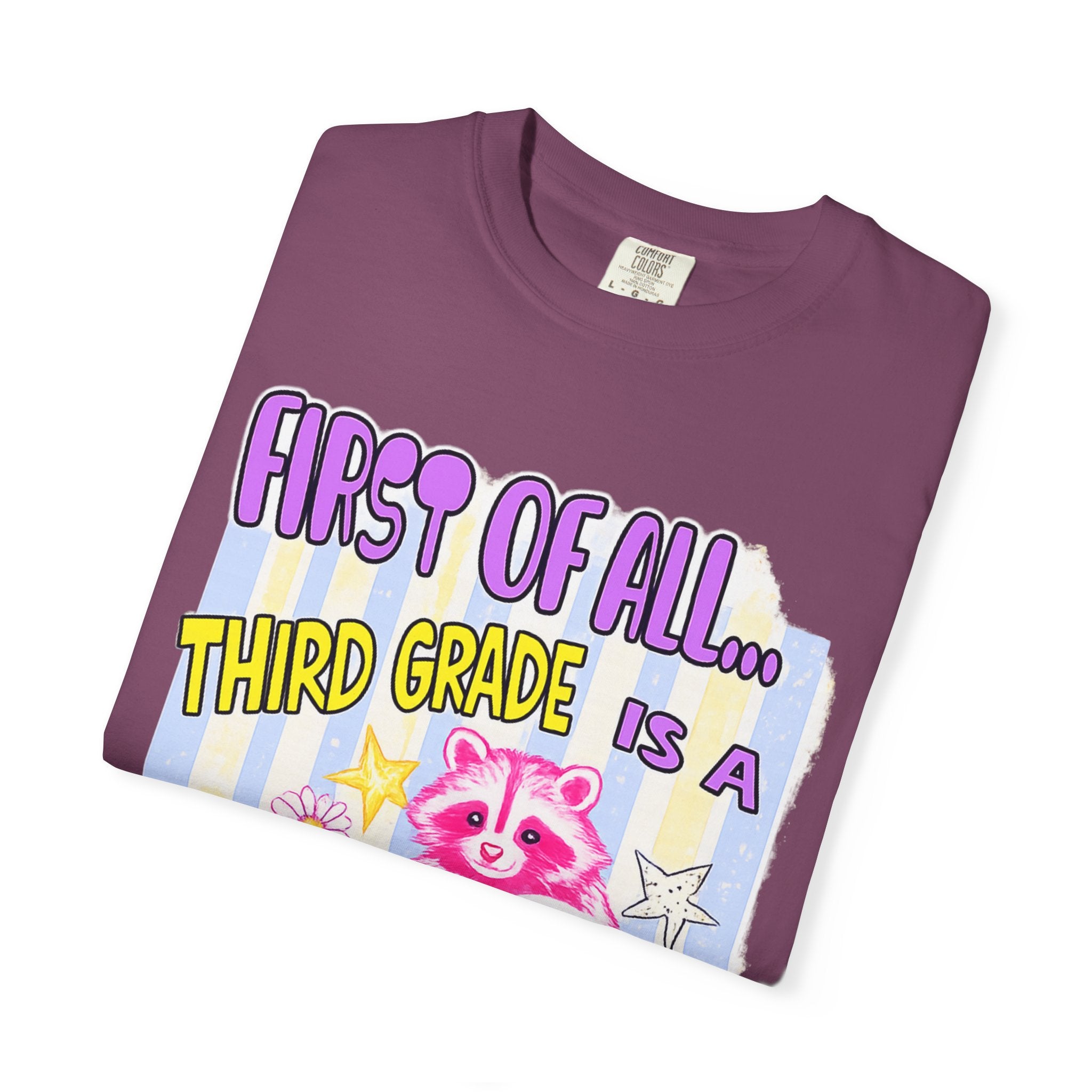 Third Grade Is a Whole Vibe T-Shirt — Cute Pink Raccoon Back-to-School Tee
