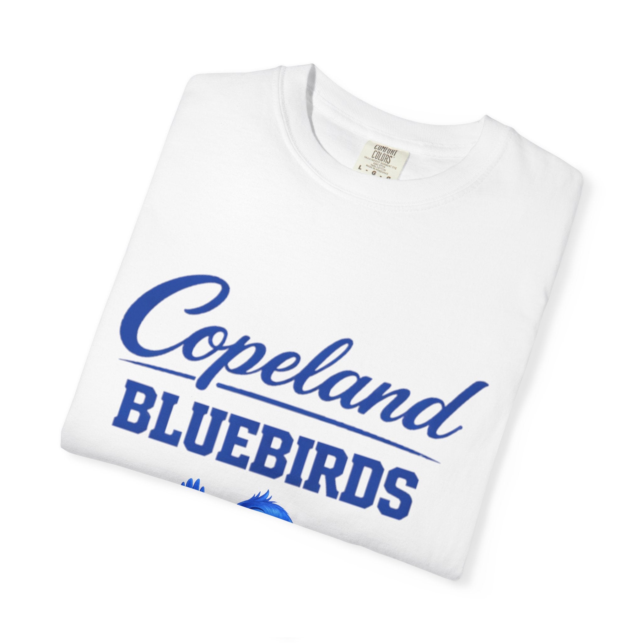 Copeland Bluebirds T-Shirt — Youth Team Mascot Tee