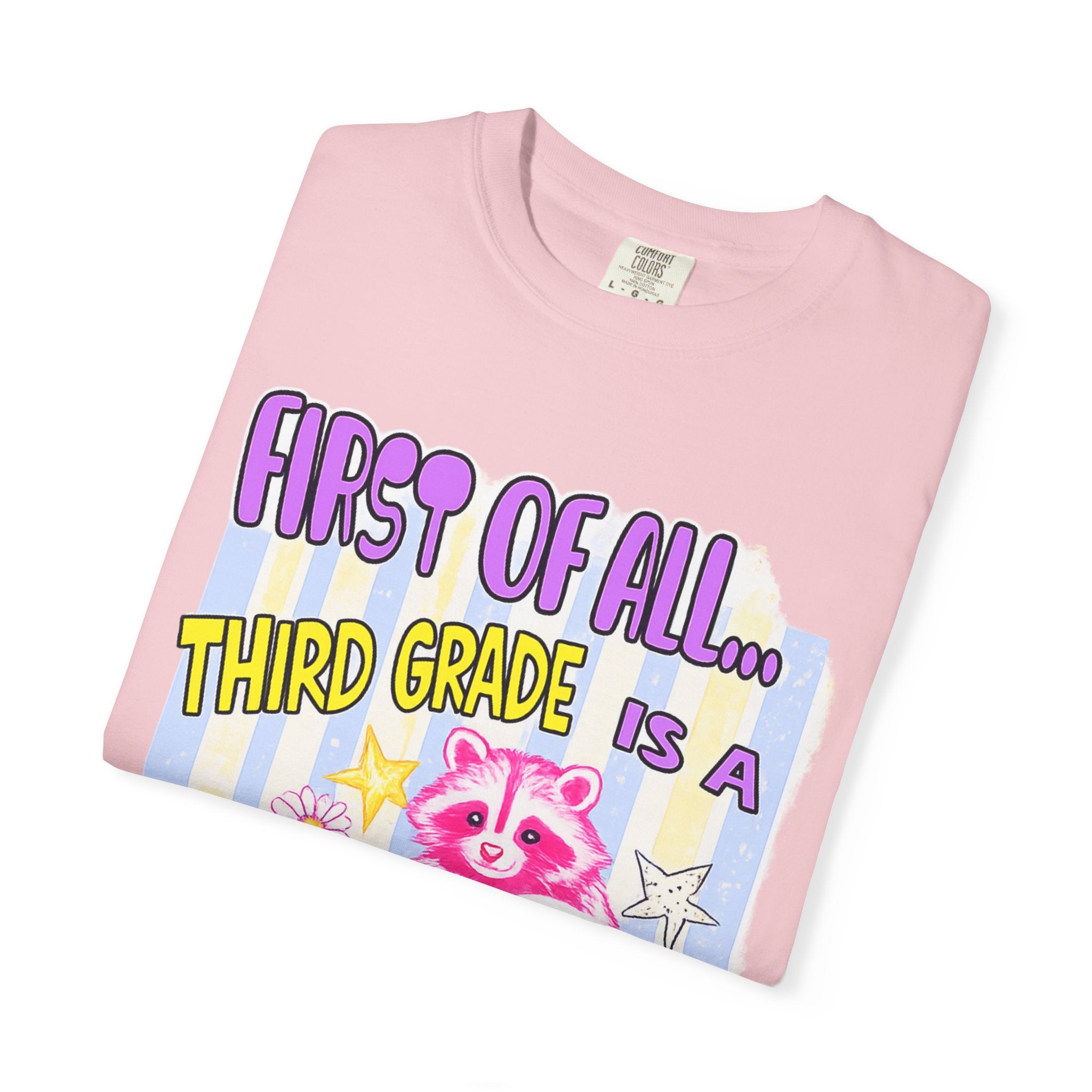 Third Grade Is a Whole Vibe T-Shirt — Cute Pink Raccoon Back-to-School Tee