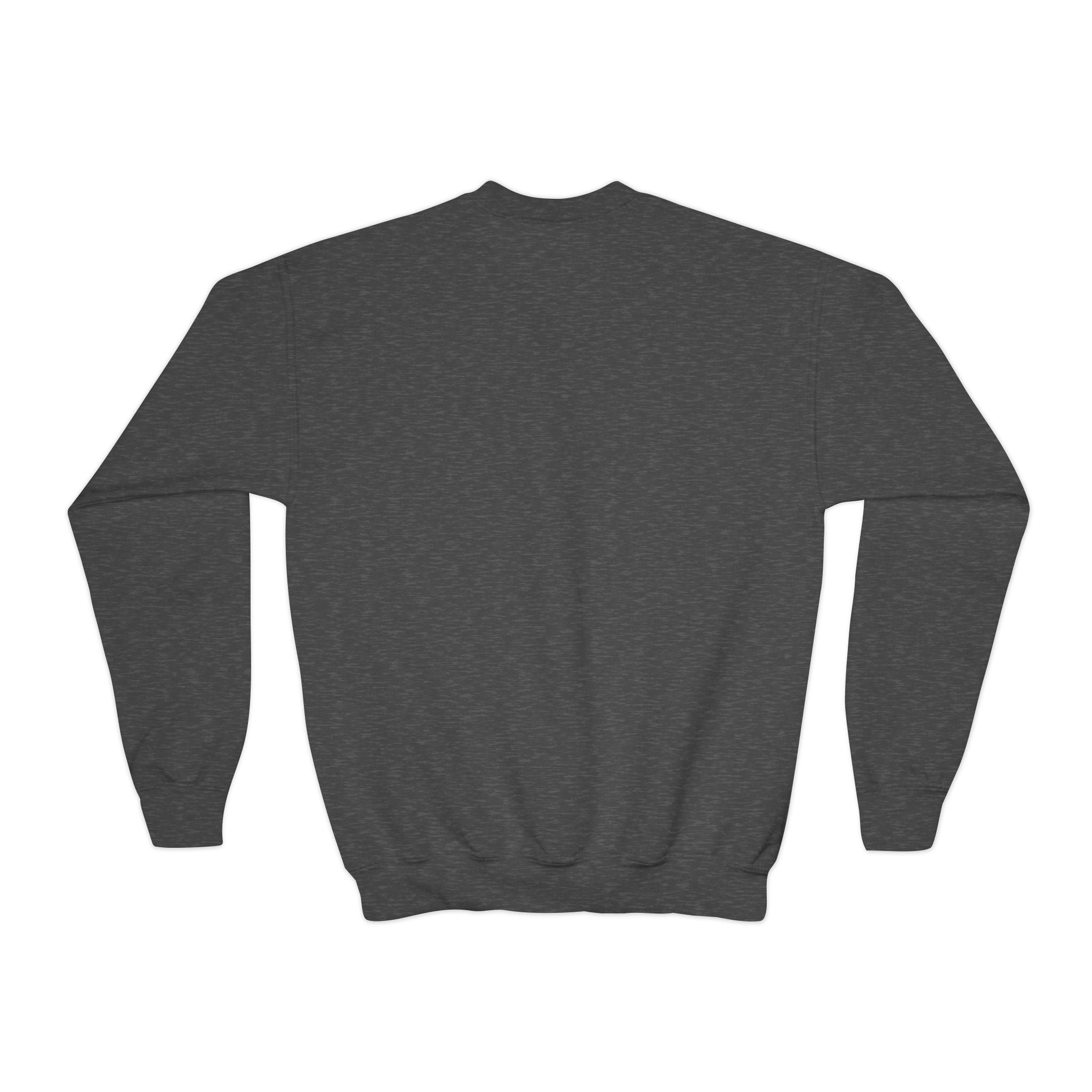 Youth Crewneck Sweatshirt — 'MINI' Varsity Letter Kids Pullover