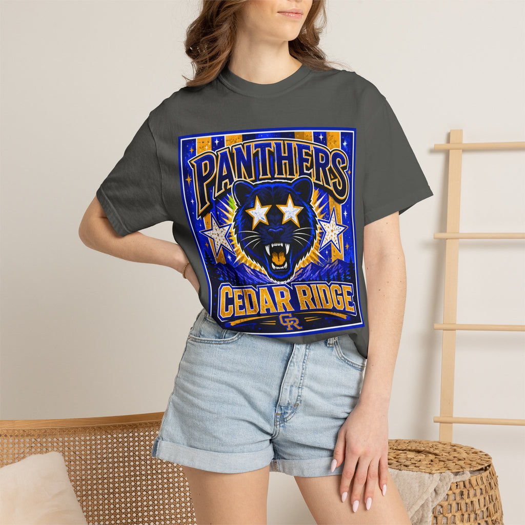 Panthers Cedar Ridge Graphic T-Shirt