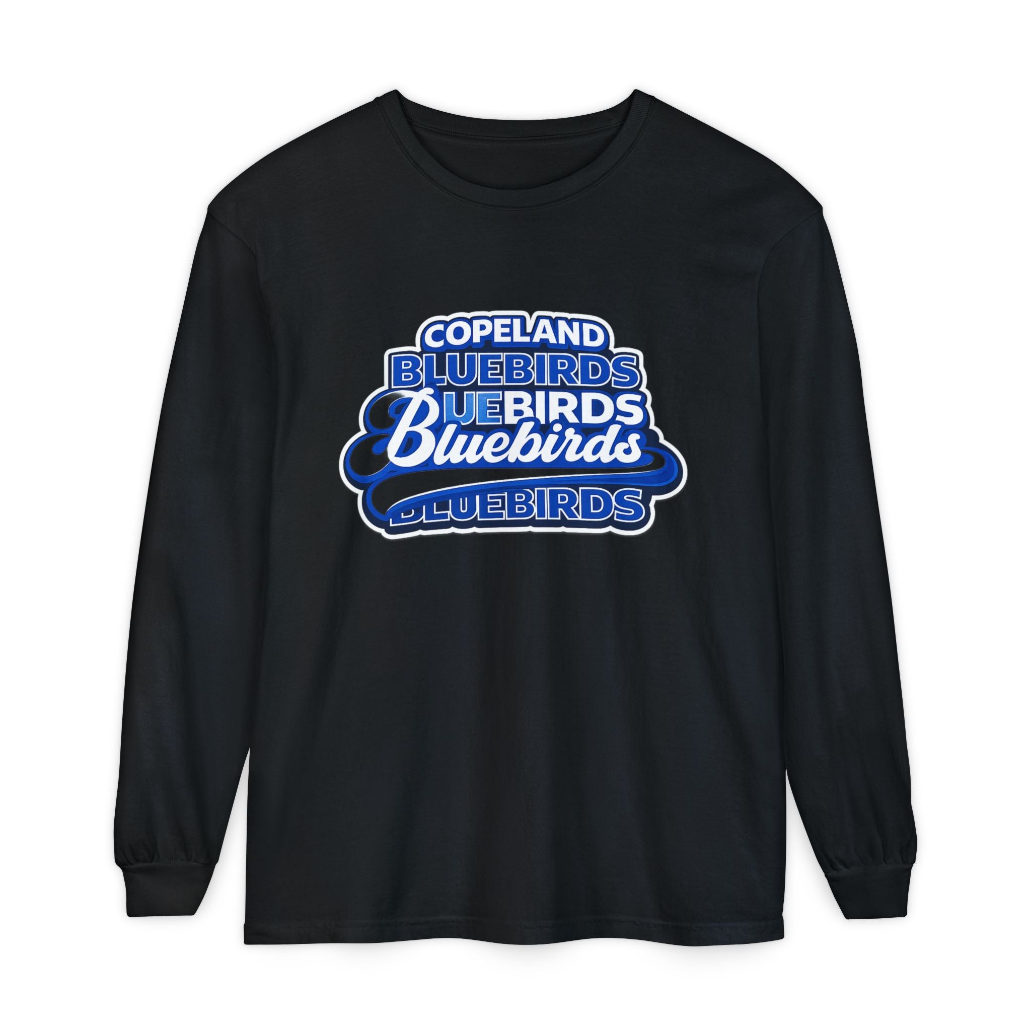 Bluebirds Crew Long Sleeve T‑Shirt — Retro Layered School Spirit Design