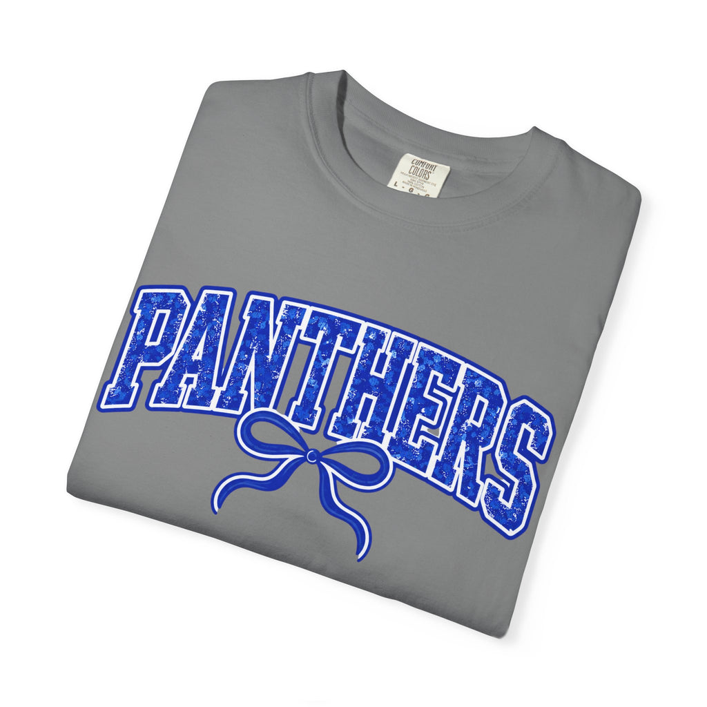 Panthers Graphic T-Shirt — Vintage Bow College Tee