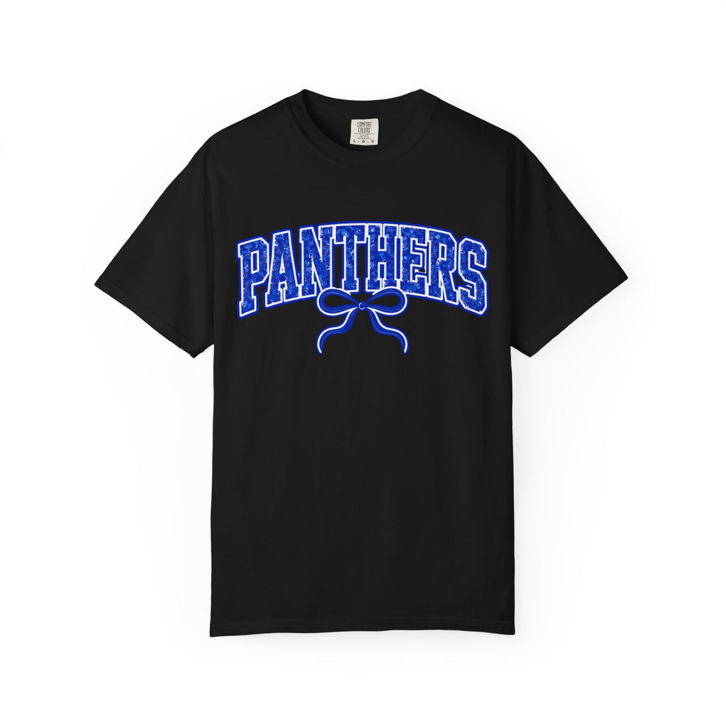 Panthers Graphic T-Shirt — Vintage Bow College Tee