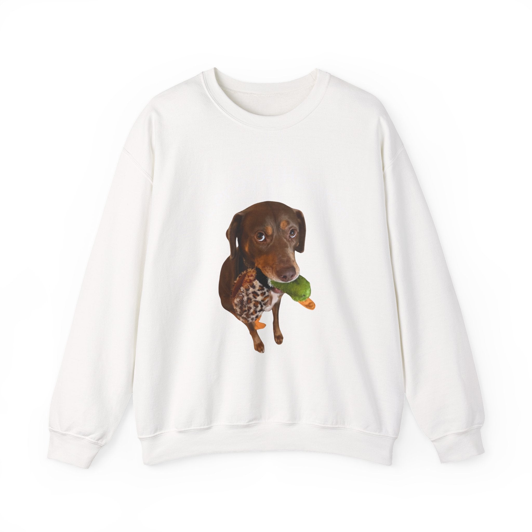Crewneck Sweatshirt – "Leroy’s Human" Dachshund Graphic, Cute Pet Lover Gift