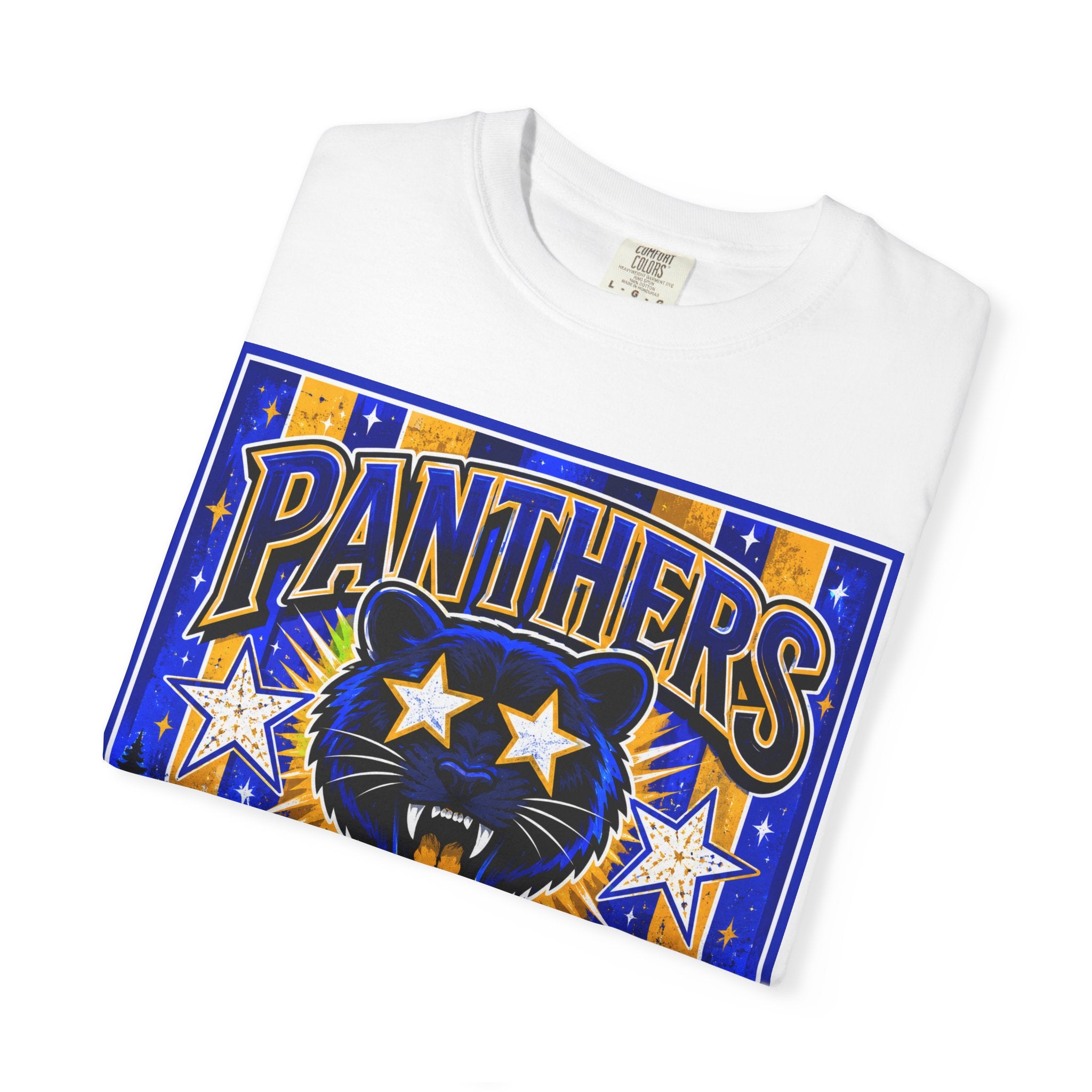 Panthers Cedar Ridge Graphic T-Shirt