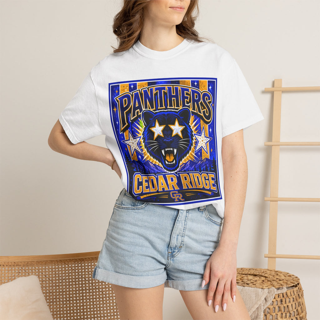 Panthers Cedar Ridge Graphic T-Shirt